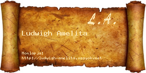 Ludwigh Amelita névjegykártya